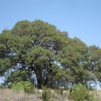 TweedyRanch (27)